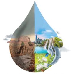 Daiki-Axis Johkasou Technology based sewage treatment plant for effective wastewater management