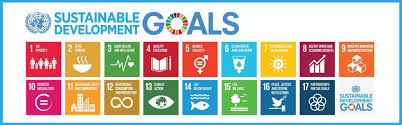 sustainable development goals