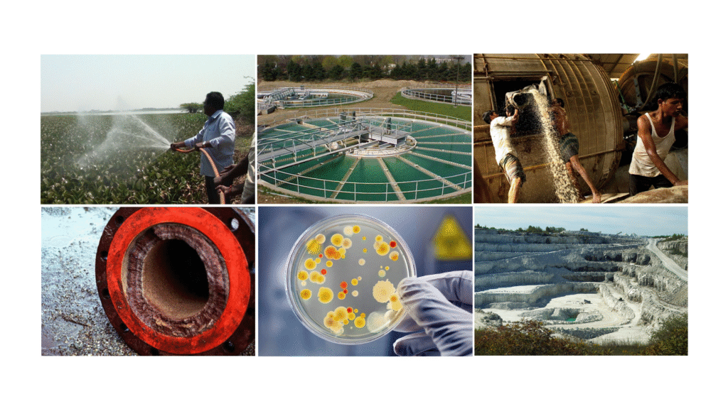 Harnessing Herbal Science Organic Solutions for Sustainable Water and Wastewater Treatment