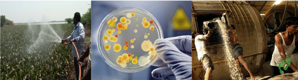 organic solutions for sustainable water wastewater treatment