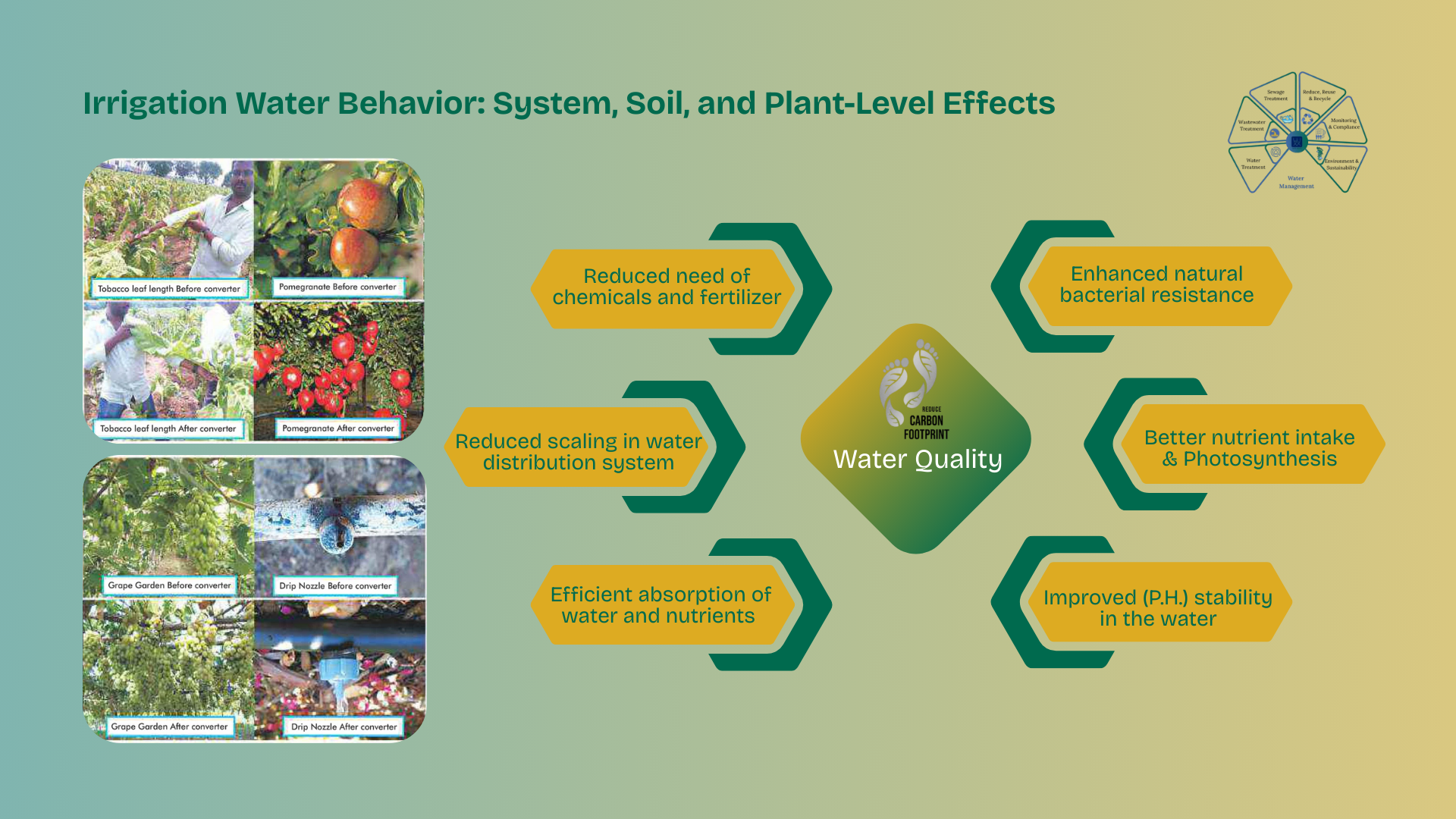 Irrigation Water Behaviour System, Soil, and Plant-Level Effects